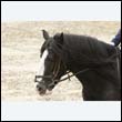 durdress9_0187