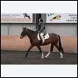 durdress9_0192
