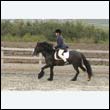 durdress9_0195