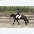durdress9_0196
