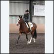 durdress9_0198