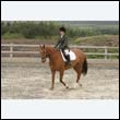 durdress9_0202