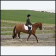 durdress9_0204