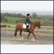 durdress9_0205