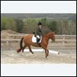 durdress9_0206