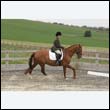 durdress9_0208