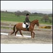 durdress9_0209