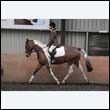durdress9_0212