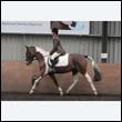 durdress9_0215