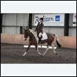 durdress9_0218