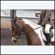 durdress9_0226