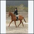 durdress9_0230