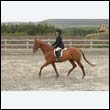 durdress9_0232