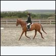 durdress9_0233