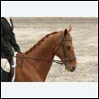 durdress9_0234