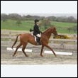 durdress9_0237