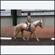 durdress9_0238