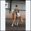 durdress9_0244