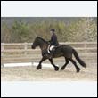 durdress9_0245