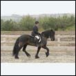 durdress9_0250