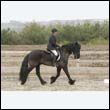 durdress9_0251