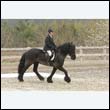durdress9_0252