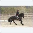 durdress9_0253