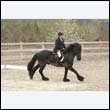 durdress9_0254