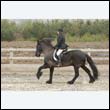 durdress9_0255