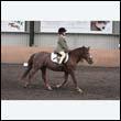 durdress9_0258