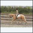 durdress9_0263