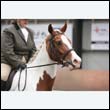 durdress9_0265