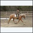 durdress9_0267