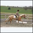 durdress9_0268