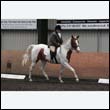durdress9_0270