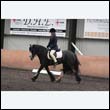 durdress9_0285