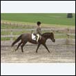 durdress9_0286