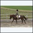 durdress9_0293