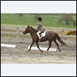 durdress9_0294