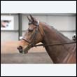 durdress9_0295