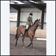 durdress9_0296