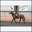 durdress9_0299