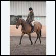 durdress9_0303