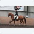 durdress9_0308