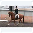 durdress9_0310