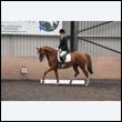 durdress9_0311