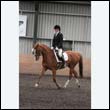 durdress9_0312
