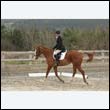 durdress9_0313
