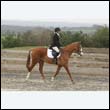 durdress9_0316