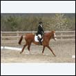 durdress9_0317